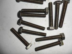 Gr4.8 8.8 Full Thread Cup Head Round Head Hot Dipped Galvanized Carriage Bolts