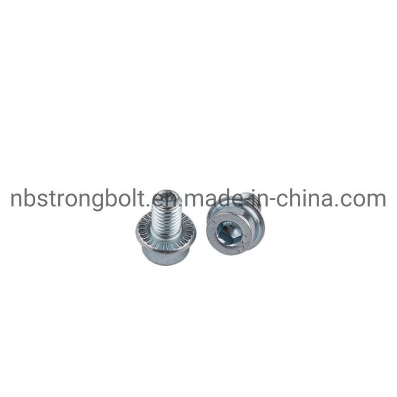 Hex Socket Flange Screw with Zinc