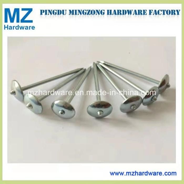 Umbrella Head Galvanized Roofing Nail From Factory