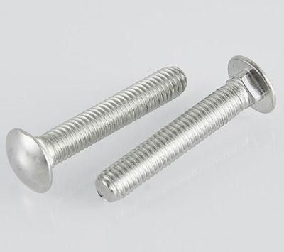 Stainless Steel Hex Head Carriage Bolt/ Round Head Square Neck Bolt/Mushroom Head Bolt