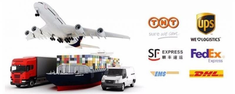 Fast Shipping Stainless and Carbon Forging Steel Flange
