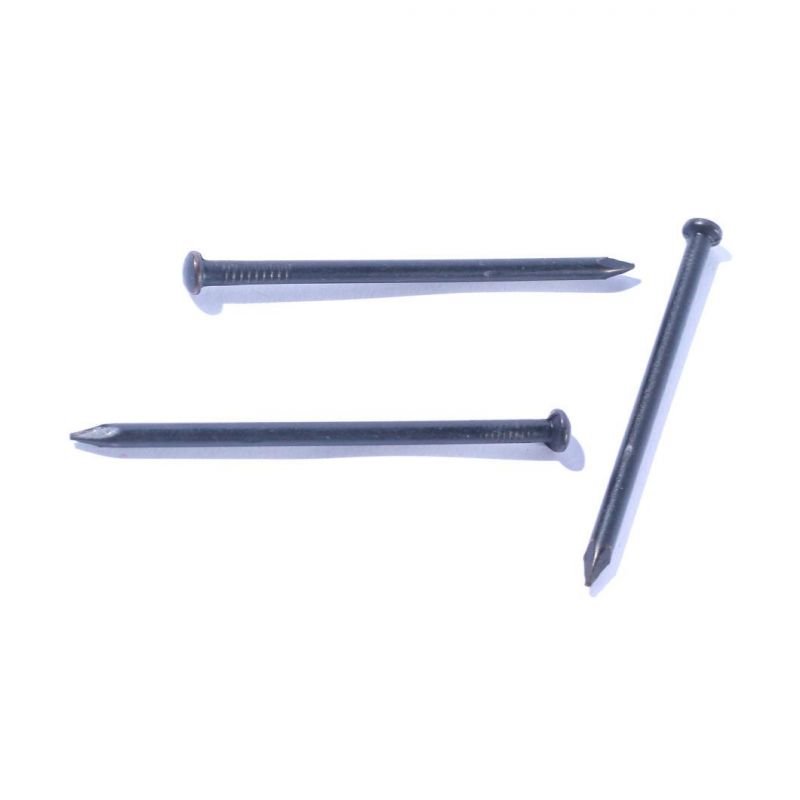Best Quality Black Steel Concrete Nails 1"-4" Concrete Nails South Africa Market