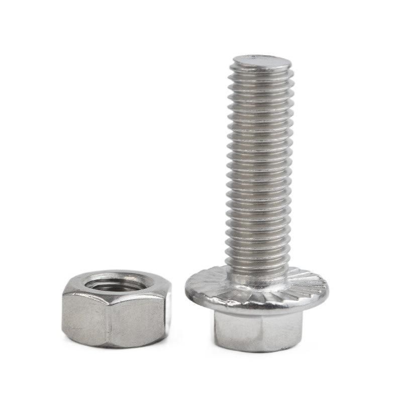 Customized Serrated Titanium Hexagon Flange Bolt M6 M10 M12 Stainless Steel Hex Flange Bolt