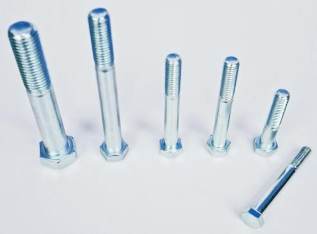 Made in China Hex Bolt /Flange Bolt/ Carriage Bolt/Anchor/Bolt and Nut