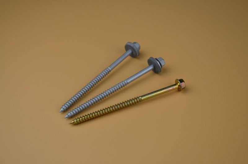 Long Roofing Screw /Self Drilling Screw SS304 Screw/Bi-Metal Screw