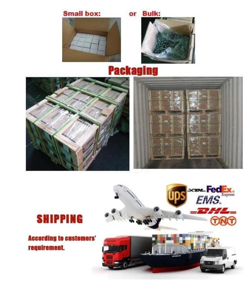 Wholesale Stainless Steel Fastener Undercut Anchor Bolt Back Bolt for Stone Material