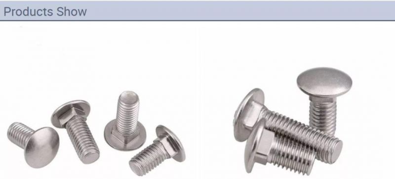 M6 M8 M10 M12 Mushroom Head Square Neck Stainless Steel 304 Screws Long Neck Carriage Bolts for DIN603 /ANSI/ASME B. 18.5