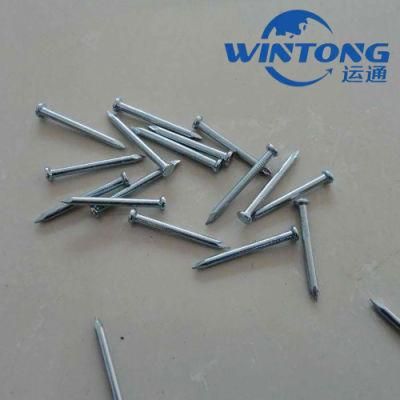 Qualified Zinc Coated Electric Galvanized Concrete Steel Nails with White Blue Color