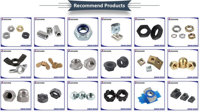 DIN935 DIN937 Grade 8.8 Steel Clour Zinc Plated Slotted Hex Nut
