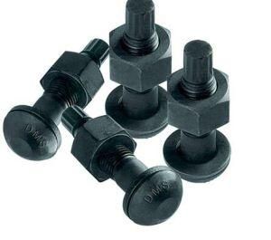 Torsional Shear Bolts