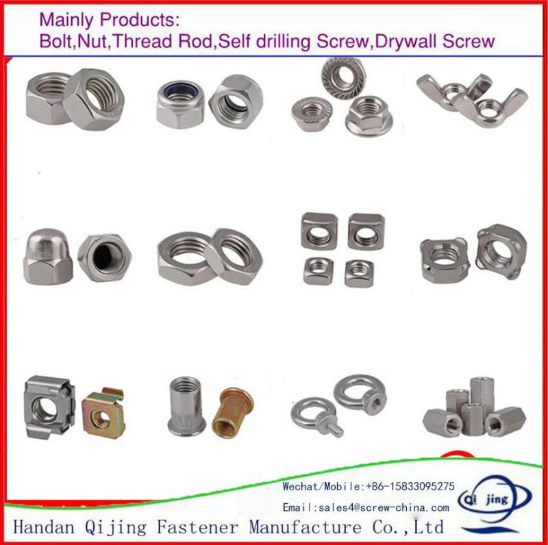 Plain Stainless Steel Hardware Flange Nut Hex Thin Nut A2-70 (M4-M24)
