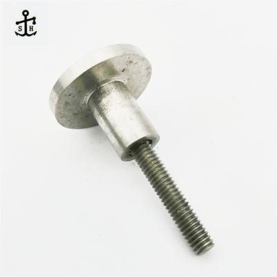 OEM Non-Standard Ss Special Full Thread Screw with Big Pan Head Nut Made in China