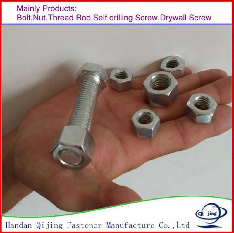 Hexagon Head Nut/Flange Nut/Cap Nut/Square Nut/ Nylon Lock Nut Ect. Color Zinc Plated