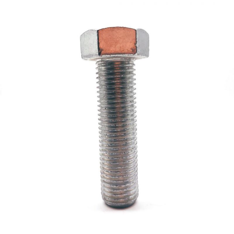 ISO4017 DIN933 Full Thread Hexagon Head Bolt for Industry