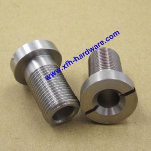 Stainless Steel Fastener Npsm Thread Wireway Fitting Bolt