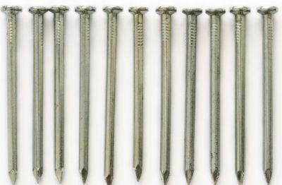 Zinc Coated Electric Galvanized Concrete Steel Nails