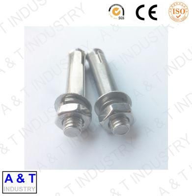 304 316 Stainless Steel Fastener Undercut Anchor Back Bolt