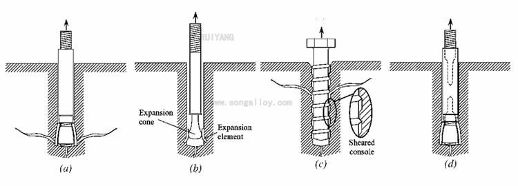 Stainless Steel Expansion Anchor Bolt and Nut Wedge Expansion Bolt