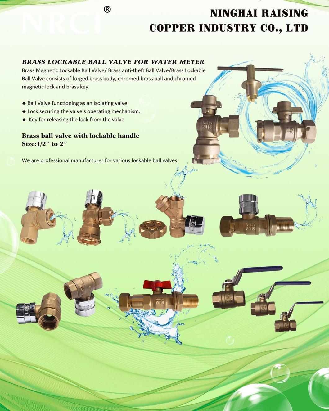 Brass Forged Flare Connector for Pipe Fittings (RTF118)