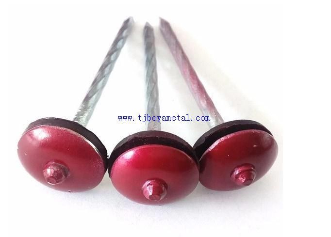 Bolivia Market Calamina Clavos Galvanized Umbrella Head Roofing Nails for Building and Construction