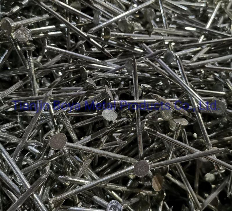 High Quality Roofing Nails Big Flat Head Clout Nails Steel Iron Nails From Factory