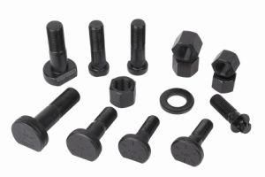 Tooth Block Bolts Series