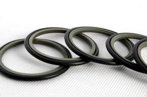 Sealing Ring OE Polytetrafluoroethylene Sitefeng Seal with Best Quality