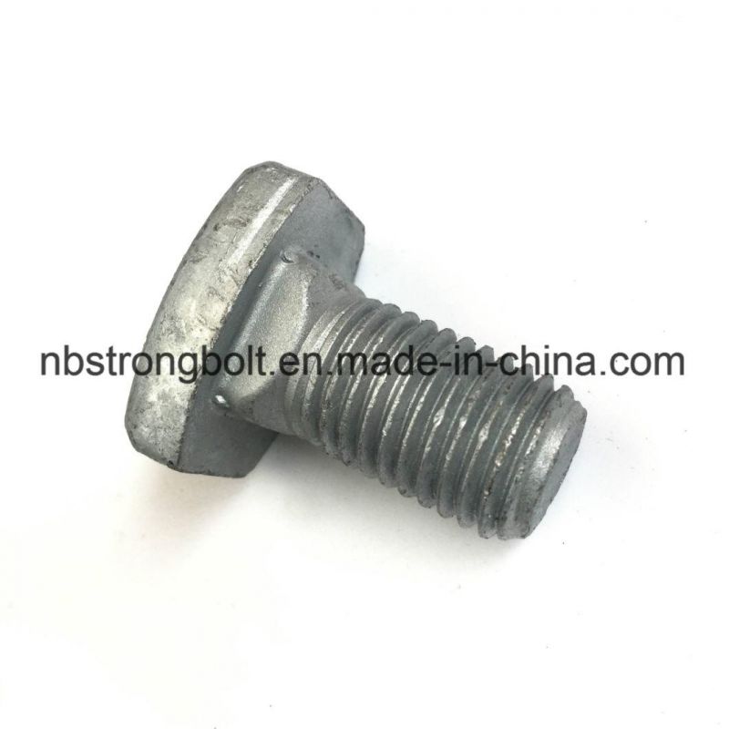 Customization Custmized Bolt Square Head Bolt Screw