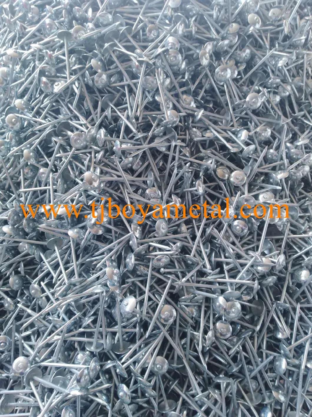 Roofing Nails Factory Sunshine Un Precio Favorable Clavos De Calamina Roofing Nails with Rubber to Peru