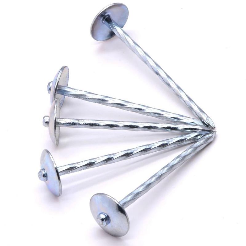 Ghana/Nigeria/Benin Market Galvanized Umbrella Roofing Nails