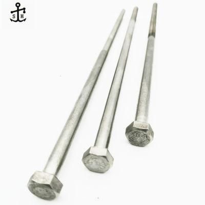 Customized Stainless Steel Flange Head Half Thread Extra Long Bolt Made in China