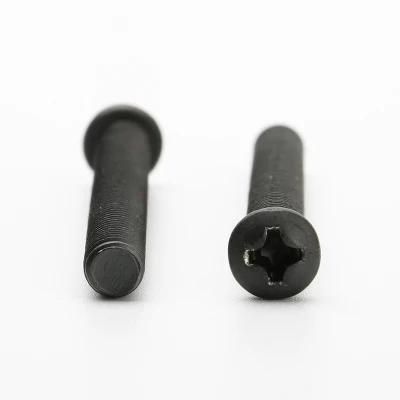 Pan Button Head Cross Recessed Machine Titanium Black Screw