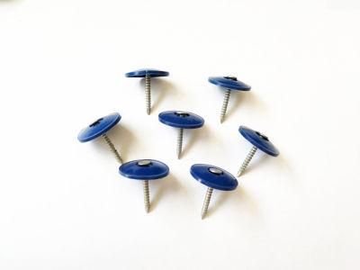 Bwg 9/Bwg10 Customized Electric Galvanized Plastic Head Roofing Nail