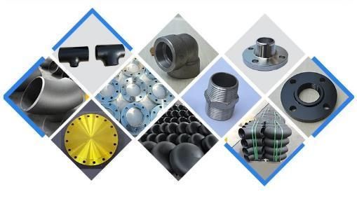 Customized Expert Factory of JIS Flange Stainless Steel Pipe Flange