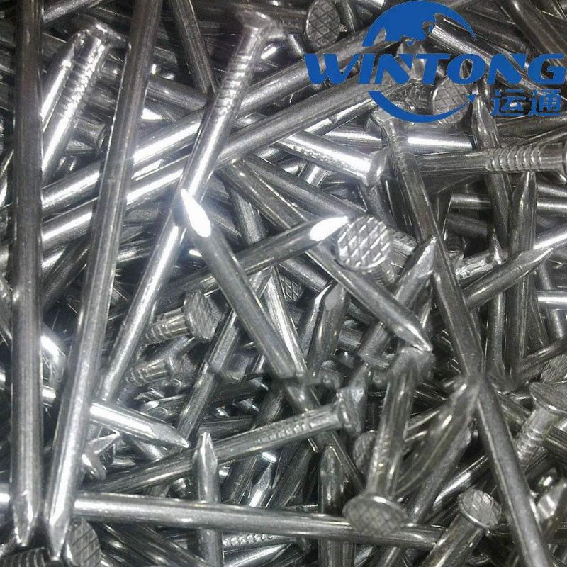 Hot DIP Galvanized Cement Nail Manufacturer, Carbon Steel Cement Nail Customization
