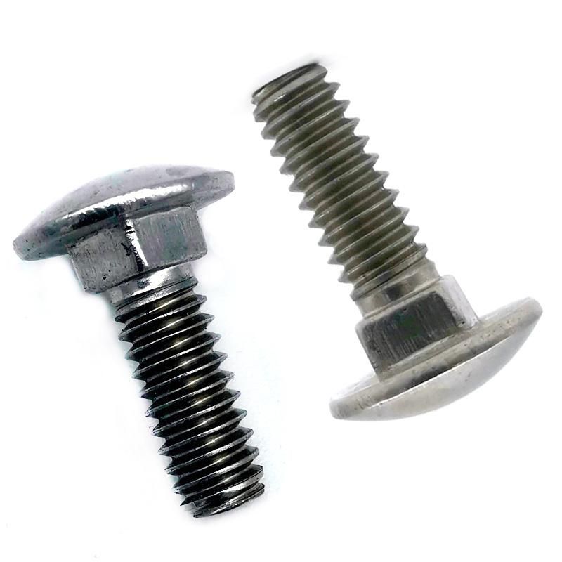 Stock Stainless Steel 304 316 Carriage Bolts -5