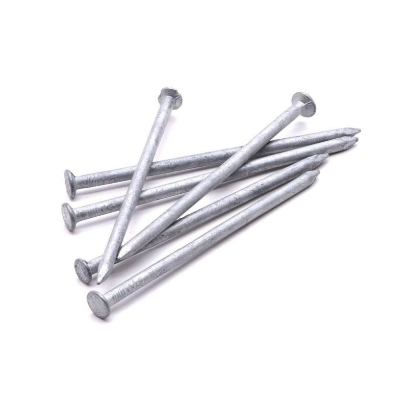 Angola Zambia Namibia Market/Wholesale Quality Iron Common Nail Prices Construction Nails for Wood