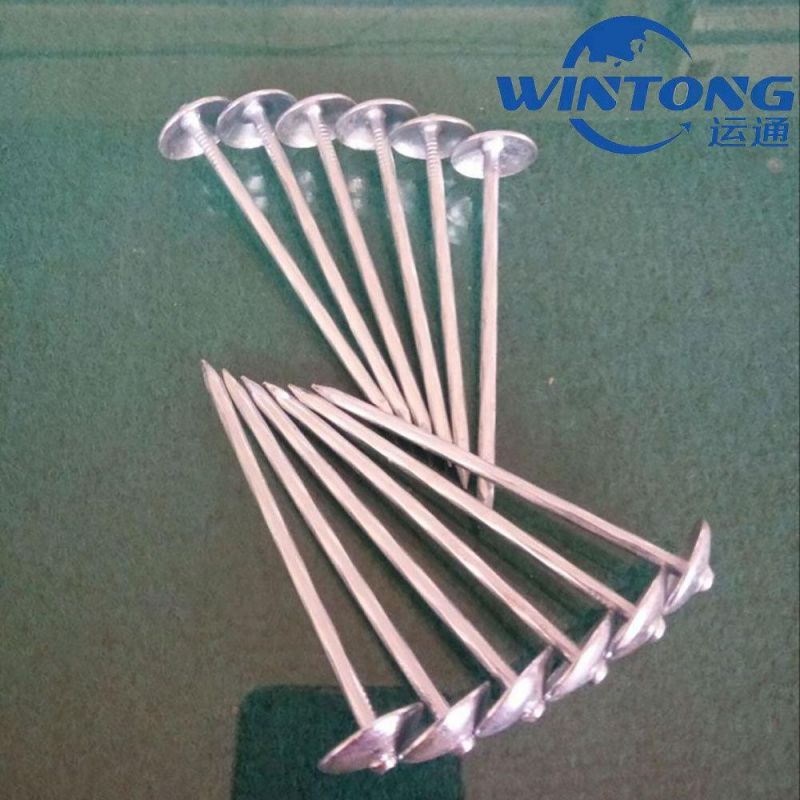 Umbrella Head Twisted Shank Roofing Nail