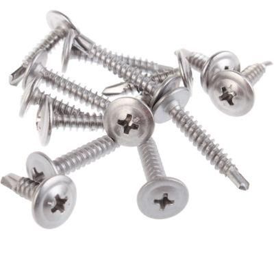 Zinc Plated 3.5mm-6.5mm Tianjin Wood Screw/Roofing Screw/Machine Screw/Tornillo Tornillo with ISO