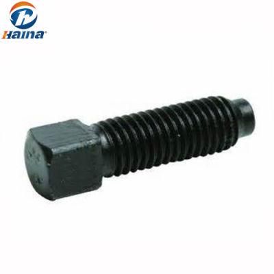 DIN479 Square Head Bolt with Short Dog Point