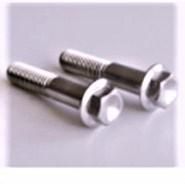 Titanium Hex Flange Bolt M18