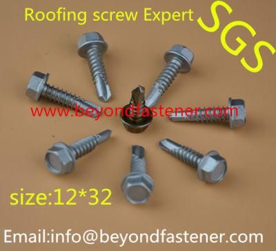 Screw Tek Screw Roofing Screw Bolts