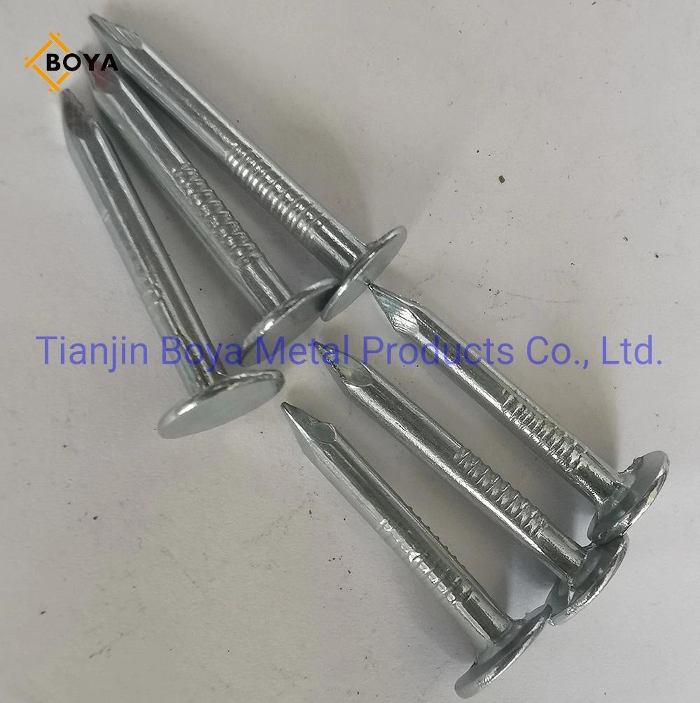 Flat Head Clout Roofing Nail for Construction in Tianjin Supplier