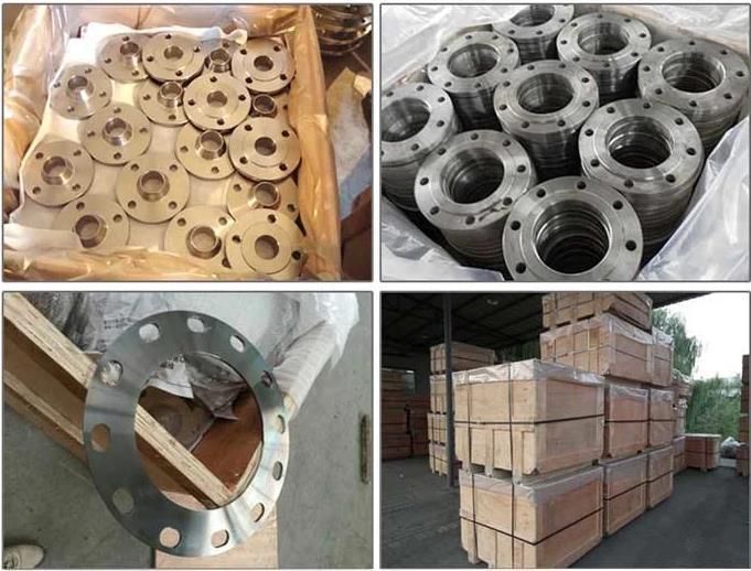 Ex-Factory Price DIN Standard Stainless Steel Forged Flange