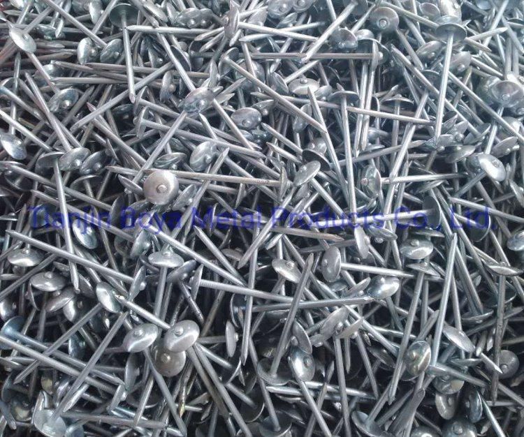 Good Quality 2.5 Inch Umbrealla Head Roofing Nails