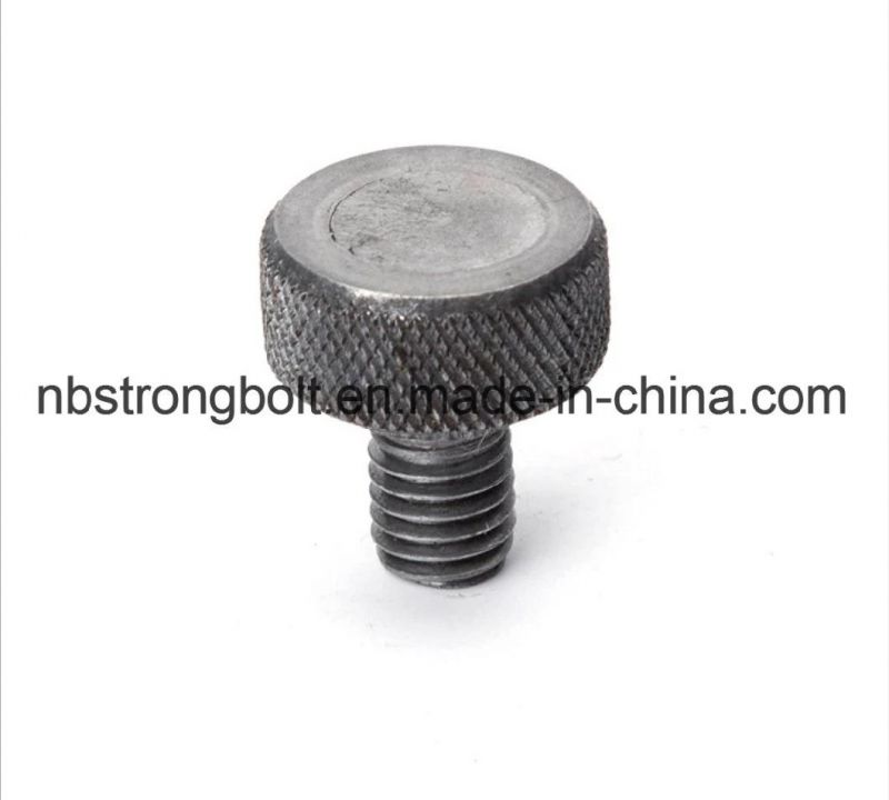 Plain Head Carbon Steel Plain Head Bolt Stainless Steel Cylindrical Head Screw Non-Standard
