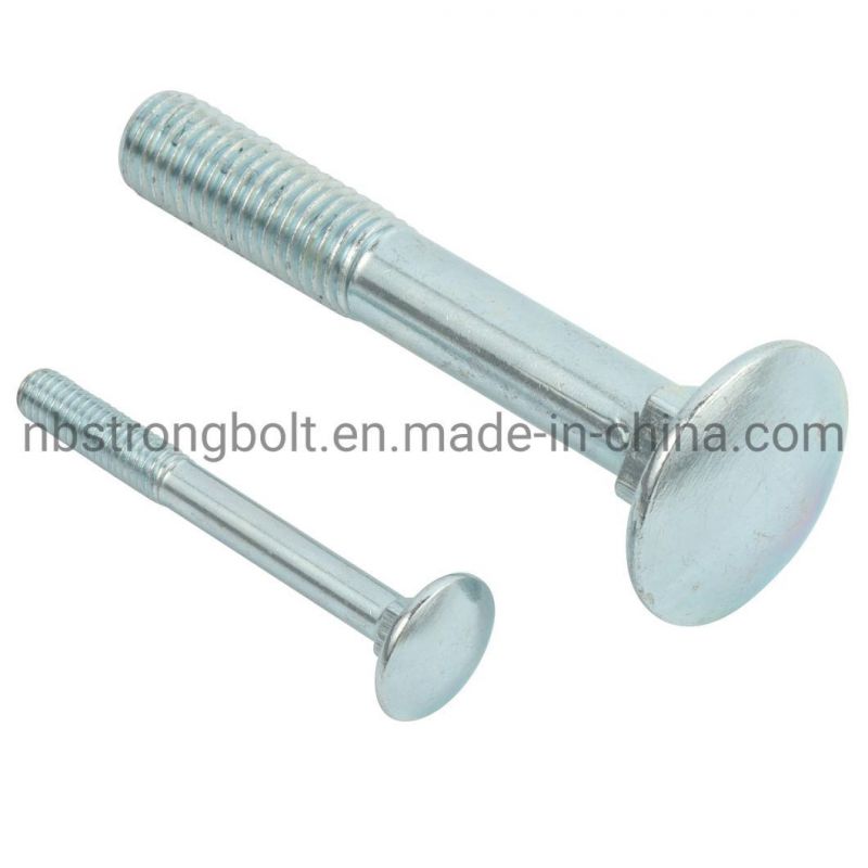 Carriage Bolt with Zinc From China