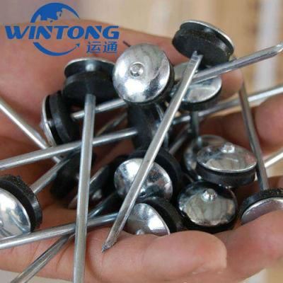 Direct Manufacturer Since Factory Price Galvanized Umbrella Head Roofing Nail