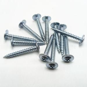 Made in China Stainless Steel Screw Truss Head Self Drilling Screw Wholesale
