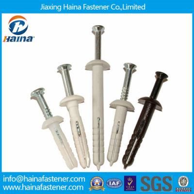 China Supply Mushroom Head Nylon Plastic Expansion Anchor